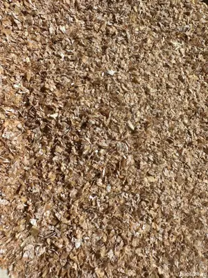 Porumb Moldovenesc sticlos si tărâță  - imagine 5