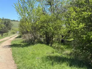 Teren lINTRAVILAN, langa Lempes, construibil - imagine 4