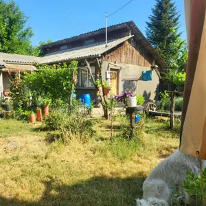 Casa sat Albina - imagine 7