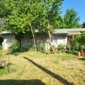 Casa sat Albina - imagine 10