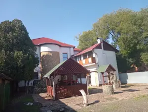 ViLA de LUX  cu un DESIGN deosebit in centrul orasului Nadlac - imagine 19