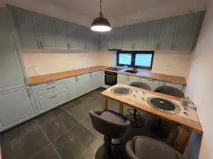Vila padure Ghermanesti-tip Duplex pereti individuali, P+1 +M-240 mp - imagine 5