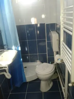 Cabana de vanzare Ranca - imagine 4