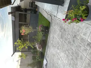 Vand CASA AN 2025 P+1+Pod inalt 360000  euro - imagine 11