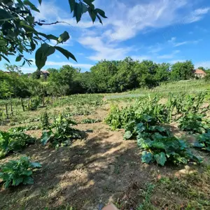 Casă de vânzare  - imagine 5