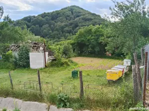 vand teren - imagine 3