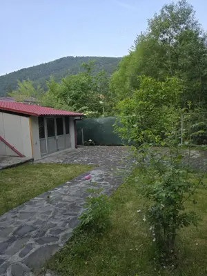 Vila ultracentral Sinaia  - imagine 3