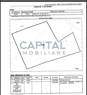 Teren intravilan pe drumul Lupacului 12 euro mp, 13782 mp si 1069 mp extravilan - imagine 2