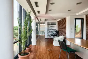 Clădire de birouri Micalaca pe principală, vad si vizibilitate sporită - imagine 8