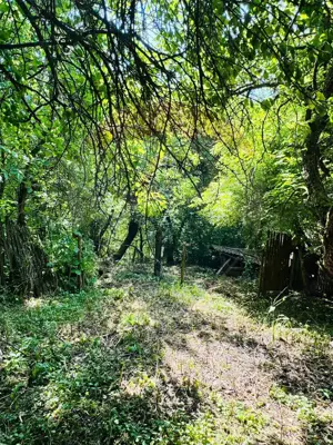 Casă cu 4 camere de vânzare pe str. Campu Negru, Sighet. - imagine 5