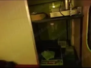 Autobuz pentru fast food  - imagine 2