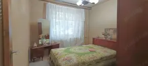 Vanzare apartament 4 camere - Teiul Doamnei - Stradal - vedere spate  - imagine 5