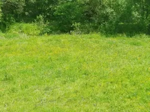 Teren Muntele Baisori  - imagine 5