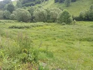 Teren Muntele Baisori  - imagine 8