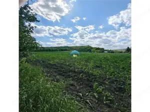 Teren intravilan de vanzare ideal pentru investitie