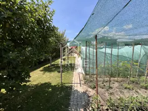 Casa individuala de vanzare 200mp, 7 camere, , Alba Iulia, cetate ultracentral - imagine 3