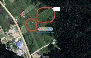 Vanzare 2 loturi teren, zona Lebada! - imagine 2 Vanzare 2 loturi teren, zona Lebada! - imagine 2