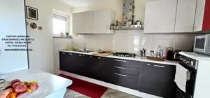 Proprietate deosebita com.D-va Rosie, Casa P+M si 1683 mp teren - imagine 3