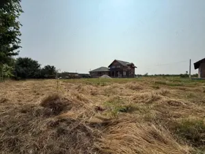 Inchiriem viitorul pe metru patrat, teren 800 mp, intravilan-Peciu Nou - imagine 3