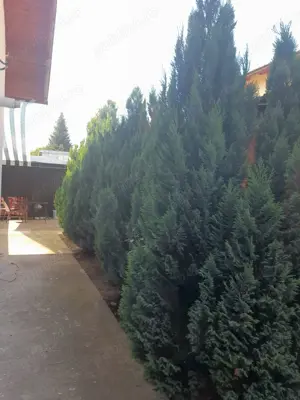 Casa 4 camere   - imagine 2