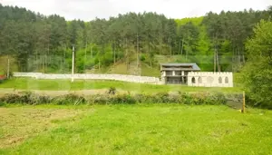 Oportunitate!!! Casa individuala la rosu, 247 mp, Teren 5000 mp in Surduc  - imagine 3