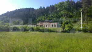 Oportunitate!!! Casa individuala la rosu, 247 mp, Teren 5000 mp in Surduc 