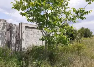 Proprietar vând teren în Dragomirești Vale  - imagine 10