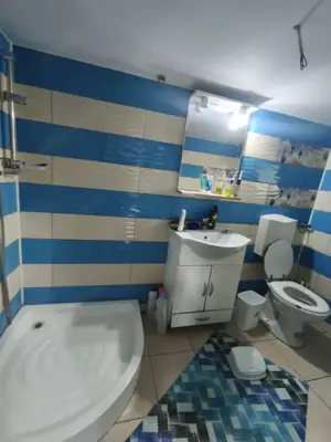 Casa individuala 5 camere, 370 mp teren, Radauti - imagine 8