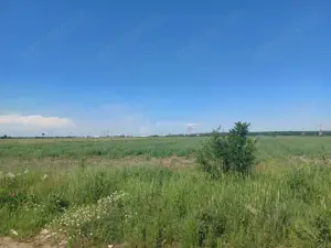 Vanzare Teren Ciorogarla- Strada Viitorului