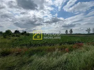 Teren intravilan, 8333 mp, la E85, comuna Secuienii Noi, jud. Neamt - imagine 6