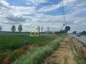 Teren intravilan, 8333 mp, la E85, comuna Secuienii Noi, jud. Neamt - imagine 5