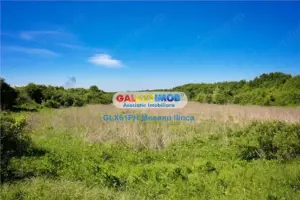 Vanzare teren 60000 mp, in Plopu, la 10 km de Ploiesti - imagine 5