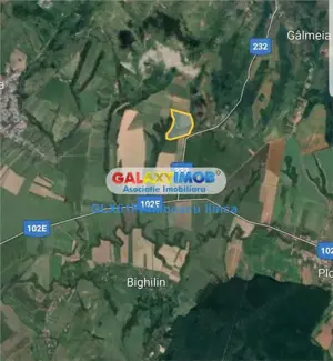Vanzare teren 60000 mp, in Plopu, la 10 km de Ploiesti - imagine 7