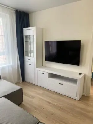 Inchiriere apartament cu 2 camere in zona Giurgiului - imagine 3