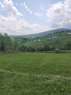 Vând teren in Măguri, comuna Măguri-Răcătău