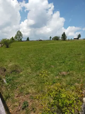 Vând teren in Măguri, comuna Măguri-Răcătău, Jud.Cluj - imagine 3