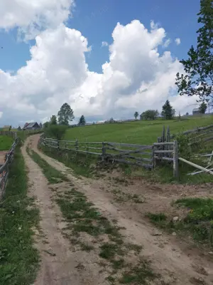 Vând teren in Măguri, comuna Măguri-Răcătău, Jud.Cluj - imagine 5