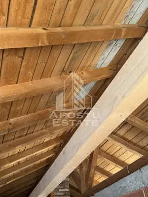 Casa individuala in RECAS - imagine 8