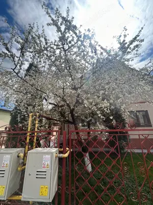 Casă 3 camere de închiriat în Florești   zonă Horea | 90 mp utili | Teren 240 mp - imagine 13