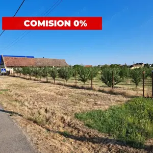 Teren cu livadă și Casă veche în Șandra