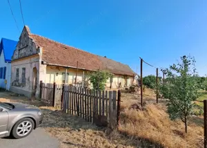 Teren cu livadă și Casă veche în Șandra - imagine 2