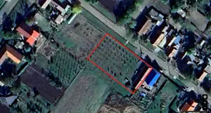 Teren cu livadă și Casă veche în Șandra - imagine 4