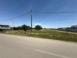 Teren intravilan de vânzare – 10.000 mp – Brănești, Ilfov – Str. Gării - imagine 3