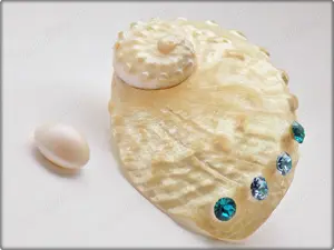 Cercei Scoica cu cristale, montati pe argint 925