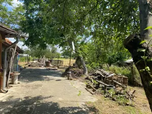 Teren intravilan Com. Varasti Jud. Giurgiu - imagine 7