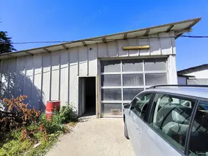 Hală producție, depozitare, Cristian - Brașov.