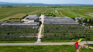 Teren 100.000 mp + Spatii Industriale Bacau