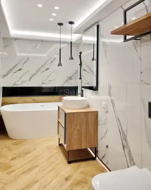 Suprafata Generoasa, Prima Inchiriere - imagine 4