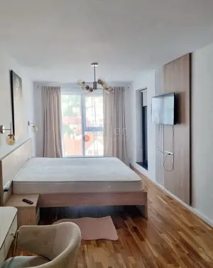 Suprafata Generoasa, Prima Inchiriere - imagine 3