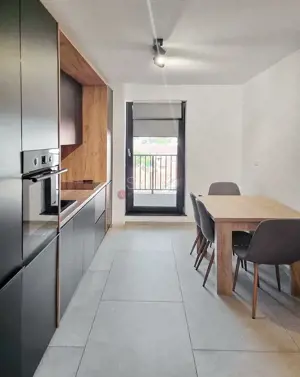 Suprafata Generoasa, Prima Inchiriere - imagine 9